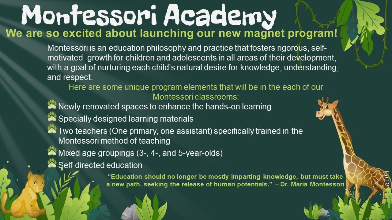 Montessori Academy Information